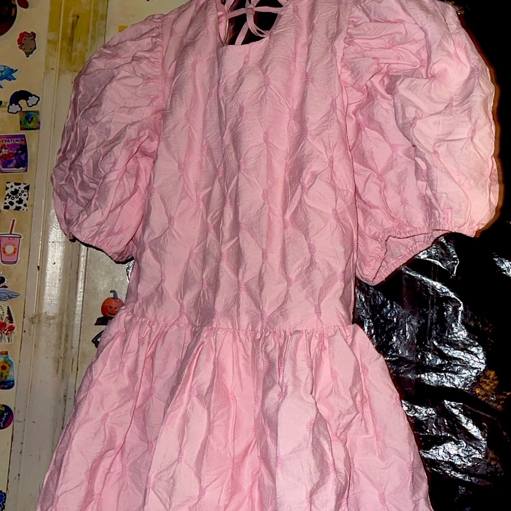 NWT English Factory Ballet Puff/Balloon Mini dress! Pink with texture!